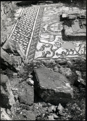 Descrizione immagine