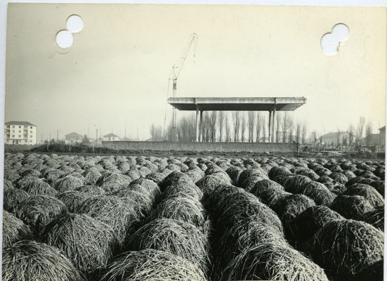 Descrizione immagine