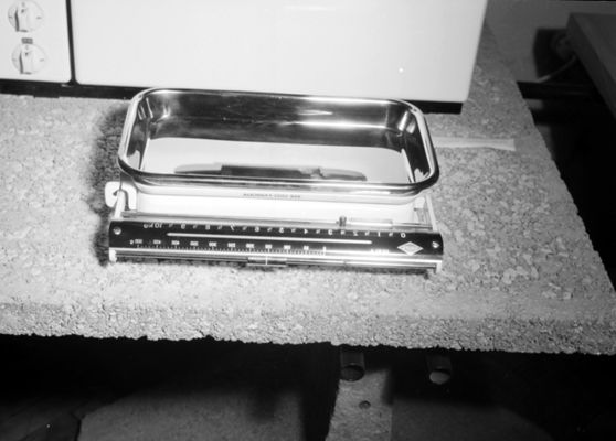 Descrizione immagine