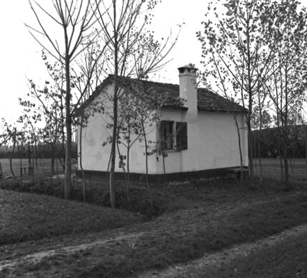 Descrizione immagine