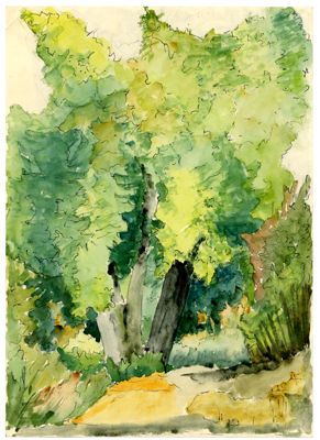 Descrizione immagine