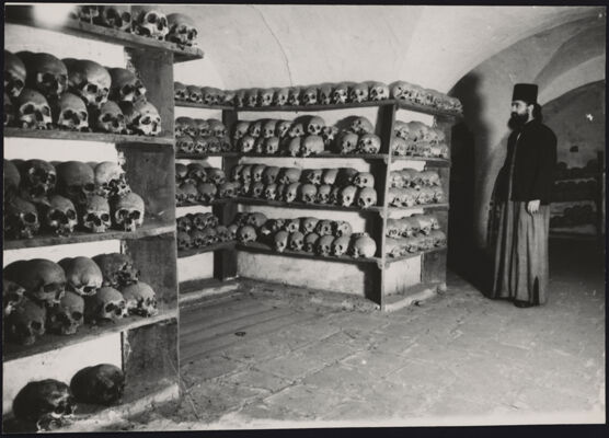 Descrizione immagine