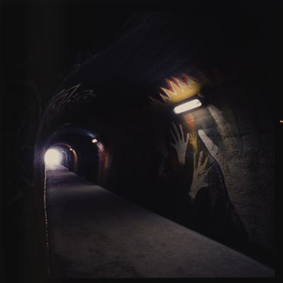 Descrizione immagine