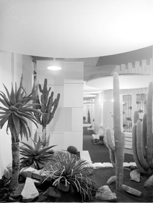 Descrizione immagine