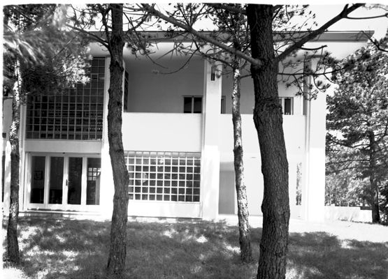 Descrizione immagine