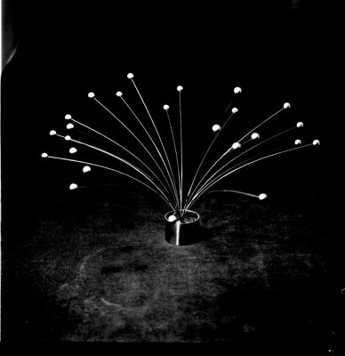 Descrizione immagine