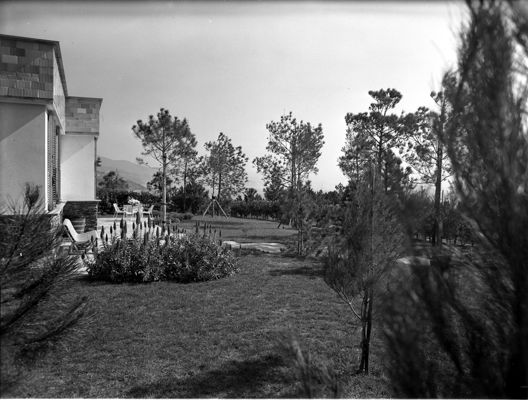 Descrizione immagine