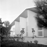 [Arenzano : villa nella pineta : progetto di Gio Ponti nello studio Ponti, Fornaroli, Rosselli]