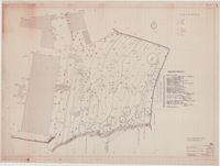 [Progetto per la sistemazione del verde di Villa Pasini ad Asolo : committente e progettista Luciano Gemin], Ferrante Gorian