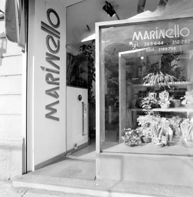 Descrizione immagine