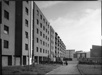 [Milano : quartiere Harar-Dessiè : progetto di Gio Ponti, Luigi Figini, Gino Pollini]