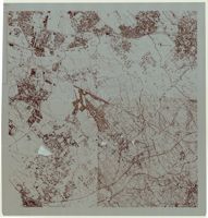 [Planimetria generale del nuovo insediamento]