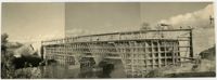 L'ombra del balilla fotografa il ponte di Morandi : ponte Giunture