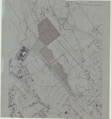 Descrizione immagine