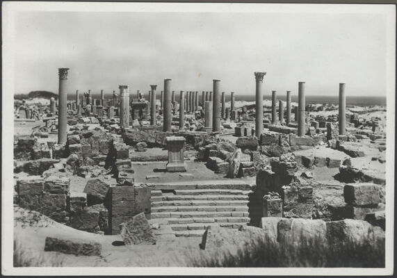 Descrizione immagine