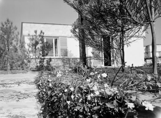 Descrizione immagine