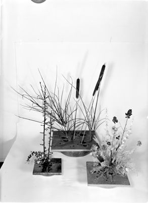 Descrizione immagine