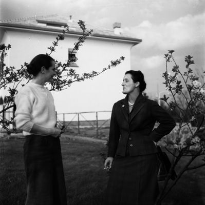 Descrizione immagine