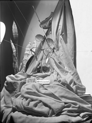 Descrizione immagine