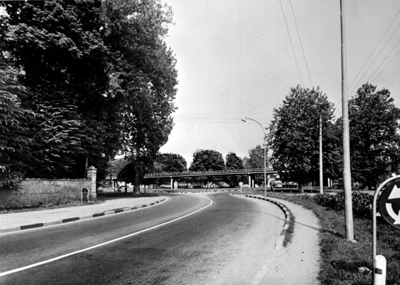 Descrizione immagine