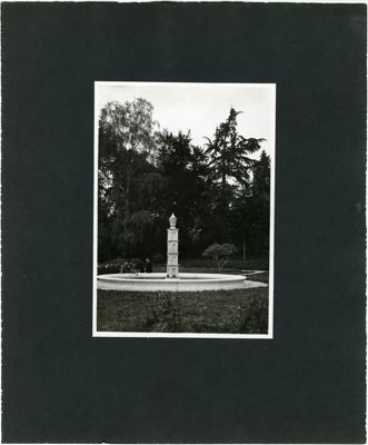 Descrizione immagine