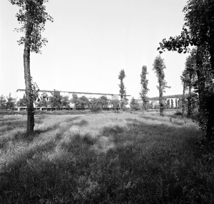 Descrizione immagine