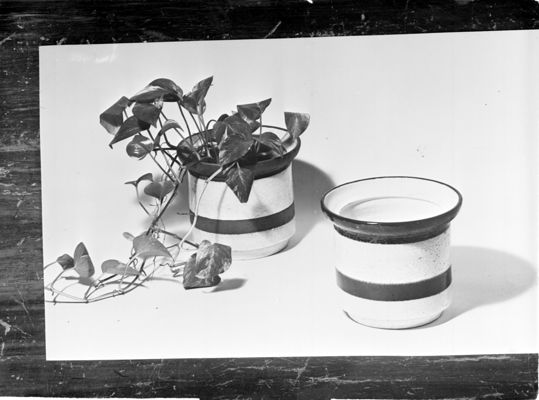 Descrizione immagine