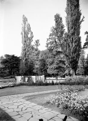 Descrizione immagine