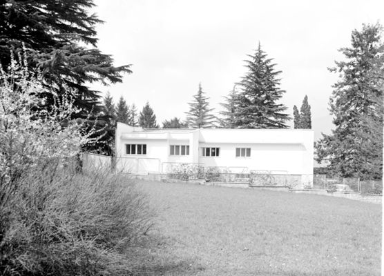 Descrizione immagine