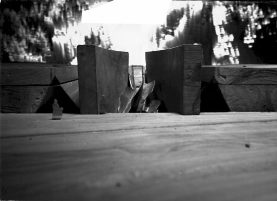 Descrizione immagine