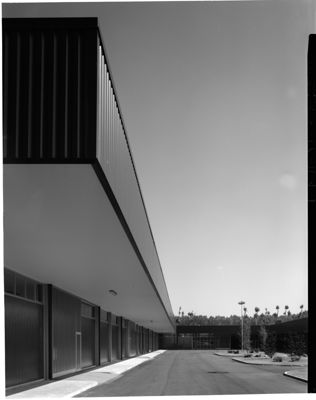 Descrizione immagine