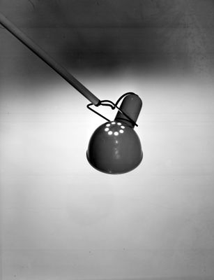 Descrizione immagine