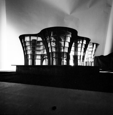 Descrizione immagine