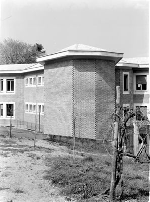 Descrizione immagine