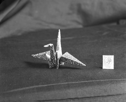 Descrizione immagine