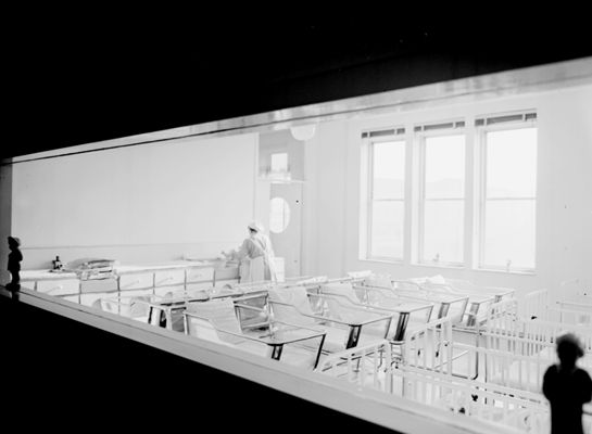 Descrizione immagine