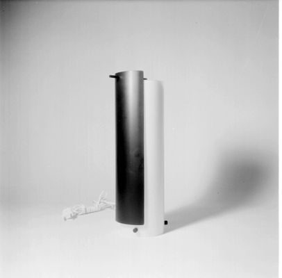 Descrizione immagine