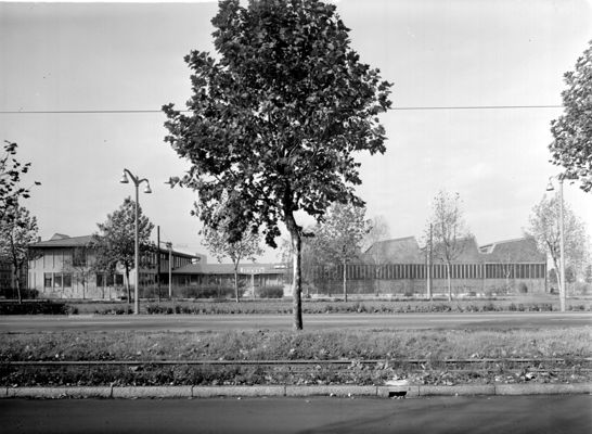 Descrizione immagine