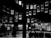 [Torino : Palazzo del Lavoro per l'Esposizione Internazionale del Lavoro : progetto Pierluigi Nervi]