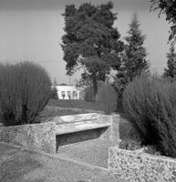 San Colombano : padiglione bocce, panchina giuoco bocce e canile