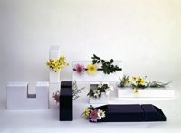 [Complementi d'arredo disegnati da Enrico Bona e Tono Morganti]