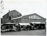 Rimini : materiale fotografico