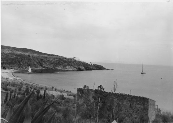 Descrizione immagine